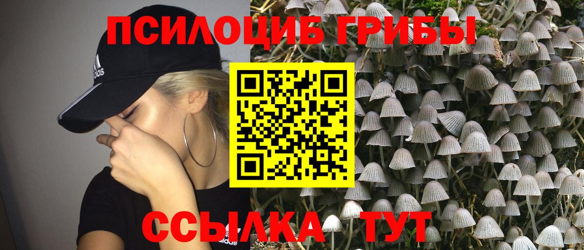 Галлюциногенные грибы прущие грибы  купить наркоту  Вход с VPN  Ржев  Псилоцибиновые грибы прущие грибы 